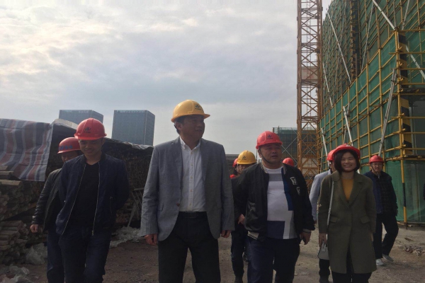 莲都区人大常委会副主任陈鲁军视察城西小学